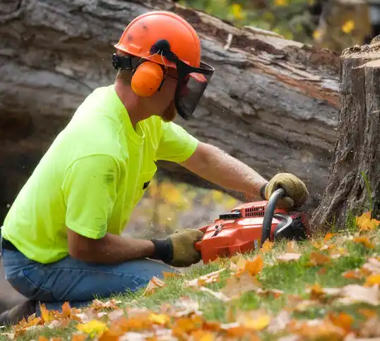 tree services Manhasset